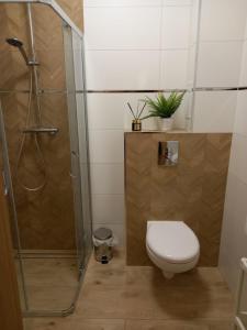 uma casa de banho com um WC e uma cabina de duche em vidro. em Apartament Górski em Szczytna