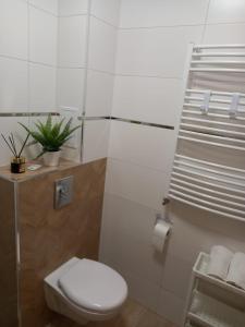 Kúpeľňa v ubytovaní Apartament Górski