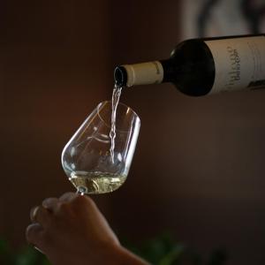 Eine Person gießt Wein in ein Weinglas in der Unterkunft Dario Coos srl - Azienda vinicola 
