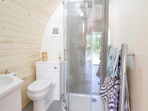 a bathroom with a white toilet and a shower at Eirlys in Dolgellau