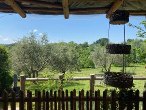 Un jardín fuera de GITE PATCHAMAMA