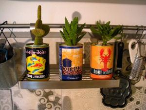 a shelf with three potted plants on it at AMAZING LANGHE AND MONFERRATO | House with garden in Calamandrana +36 photos