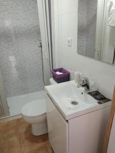 uma casa de banho com um lavatório, um WC e um chuveiro em A Casiña em Mazaricos