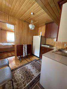 a kitchen with a refrigerator and a counter top at Gosti Home Demirkapi in Çaykara
