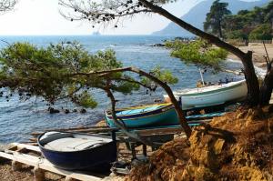 Φυσικό τοπίο κοντά σε αυτή η παραθεριστική κατοικία