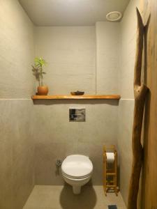 a bathroom with a toilet and a plant on a shelf at Ozgur Bey Spa Hotel in Alanya +17 photos