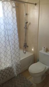a bathroom with a toilet and a shower curtain at Cozy studio Holland in Falmouth