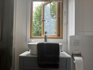 uma casa de banho com um lavatório e uma janela em Woodpecker Hill - apple orchard in Alfriston em Alfriston