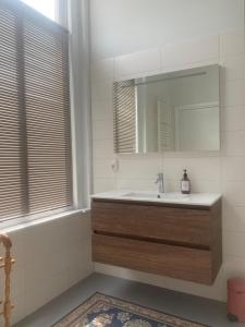 uma casa de banho com um lavatório e um espelho em Bed & Breakfast By Genck em Oudenbosch