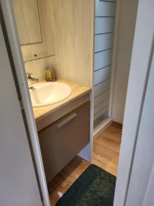 La salle de bains est pourvue d'un lavabo et d'un miroir. dans l'établissement Camping Ixtila mobilhome, à Larrau