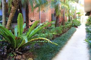 einen Garten mit Palmen und Bürgersteig in der Unterkunft Best Western Ipswich in Ipswich