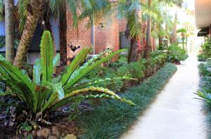 a garden with palm trees and a sidewalk at Best Western Ipswich in Ipswich