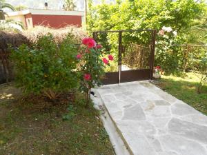 Taman di luar Apartments Samardzic