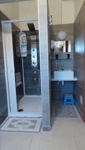 a bathroom with a shower and a sink at Appartamento del Li-Lioni di Teranga in Platamona +121 photos