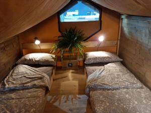 a room with two beds and a tv on the wall at Glamping Debbiare in Riparbella