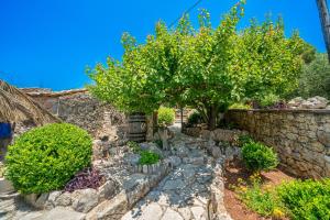 Zahrada ubytování Stavros Villa