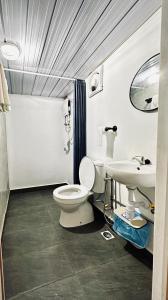 丹絨武雅的住宿－Ardour Lodge "A" Wing，一间带卫生间和水槽的浴室