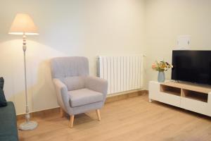 TV a/nebo společenská místnost v ubytování Peritxenea Landa Apartamentuak