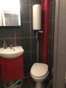 a small bathroom with a toilet and a sink at Studio Marais Saint Paul in Paris