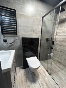 uma casa de banho com um WC e uma cabina de duche em vidro. em Domek Apartamenty Sun House em Boszkowo-Letnisko