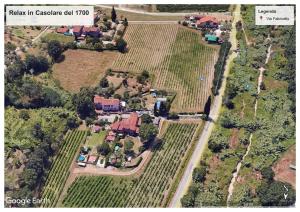 - une vue aérienne sur une maison dans un vignoble dans l'établissement Relax in Casolare del 1700, à Sarzana