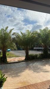 a group of palm trees in a parking lot at Tuscany Hotel by skypark 
