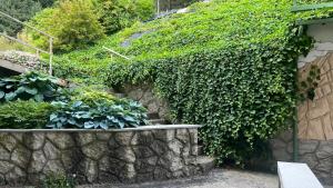 Zahrada ubytování B&B Garni Hotel Saxl