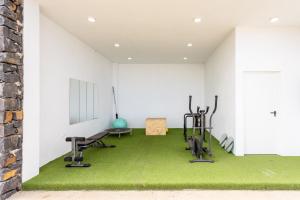 ラ・オロタバにあるHome2Book Finca La Golosa 3 Cozy Studio, Terraceの- グリーンカーペットとエクササイズ機器が備わるジム