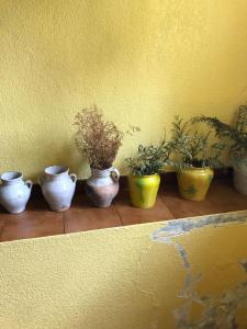 una fila di piante in vaso sedute su un muro di Casa Rural Amamana a Jemein