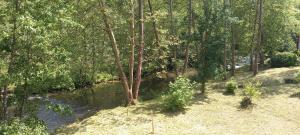an aerial view of a river in a forest at Casa Rural Amamana in Jemein