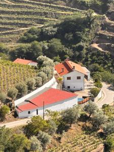 um edifício branco com um telhado vermelho numa colina em Casa da Amendoeira Covelinhas em Peso da Régua