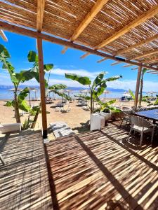 a view of a beach with chairs and tables at Erosea Beach Resort in Kavos