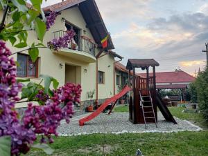 un parque infantil frente a una casa con tobogán en Casa Raisa & Maria, en Ocna Sibiului