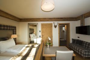 TV a/nebo společenská místnost v ubytování Chalet Winterbauer