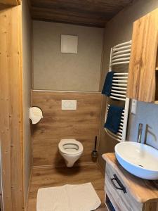 La petite salle de bains est pourvue de toilettes et d'un lavabo. dans l'établissement Apartment Hochsteinalm, à Traunkirchen