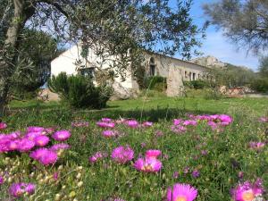 Gallery image of La MeSenda Rooms & Apartments in Arzachena