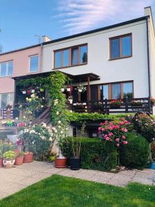 Zahrada ubytování Ubytovani Na Hrazi 91 + 28 fotografií