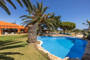 a palm tree next to a swimming pool at Unique Villa -1 km to Beach, private Natural pool, Tennis Court & Jumping Mat in Sagres