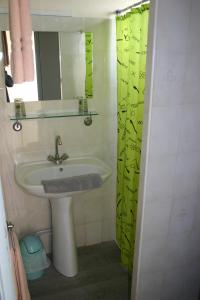 a bathroom with a sink and a green shower curtain at Hotel La Reserve in Vic-la-Gardiole