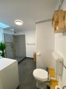 a bathroom with a toilet and a shower at Turqoise Central Apartaments in Bucharest