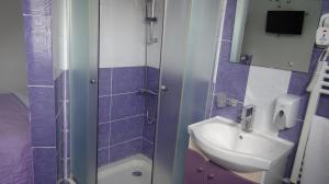 La salle de bains est pourvue d'un lavabo, de toilettes et d'une douche. dans l'établissement Iris Boutique, à Otopeni
