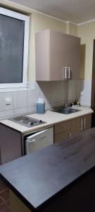 una cucina con lavandino e piano di lavoro di Apartmani AMB STIL a Bor
