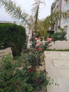 New luxury apartment with pool in Hammamet Mrezga
