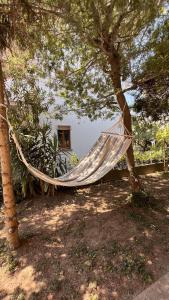 a hammock hanging between two trees in a yard at Drè Marèna in Rimini