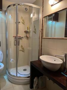 a bathroom with a shower and a toilet and a sink at LakeHouse in Giewartów +17 photos