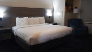 Postel nebo postele na pokoji v ubytování Best Western Lubbock West Inn & Suites
