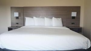 Postel nebo postele na pokoji v ubytování Best Western Lubbock West Inn & Suites