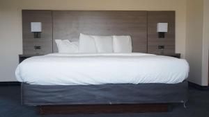 Postel nebo postele na pokoji v ubytování Best Western Lubbock West Inn & Suites