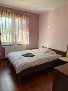 een slaapkamer met een bed en een raam bij LakeHouse in Giewartów