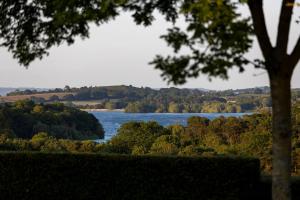 a view of a river with trees in the background at Kingsley Lake View & Paddocks - A group retreat with hot tub, sports bars & spectacular lake views in the Mendip Hills AONB in Chew Stoke